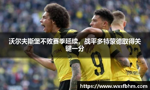 沃尔夫斯堡不败赛季延续，战平多特蒙德取得关键一分