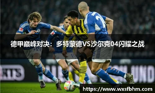 德甲巅峰对决：多特蒙德VS沙尔克04闪耀之战