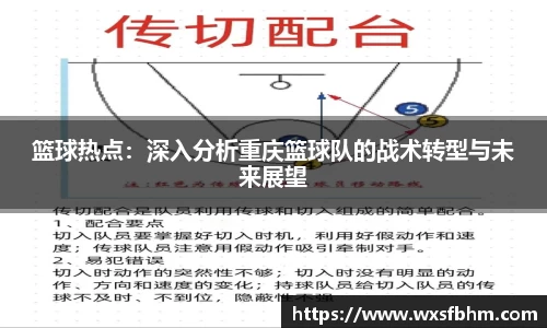 篮球热点：深入分析重庆篮球队的战术转型与未来展望