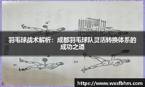 羽毛球战术解析：成都羽毛球队灵活转换体系的成功之道