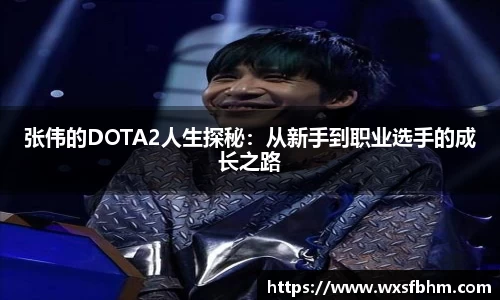 张伟的DOTA2人生探秘：从新手到职业选手的成长之路