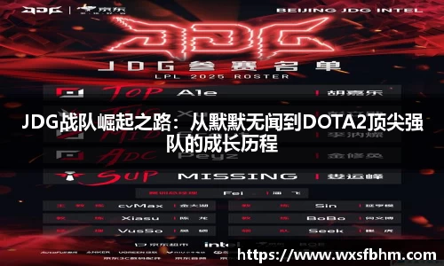 JDG战队崛起之路：从默默无闻到DOTA2顶尖强队的成长历程