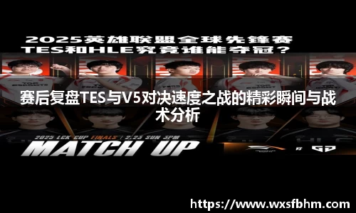 赛后复盘TES与V5对决速度之战的精彩瞬间与战术分析