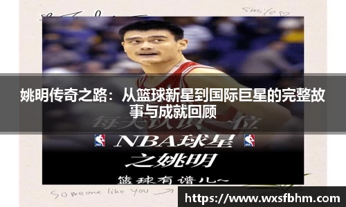 米乐m6官网登录入口