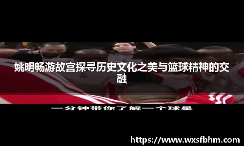 米乐m6