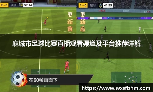 OB电竞官方网站